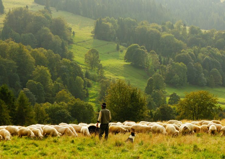 Wie trekt er aan de touwtjes?